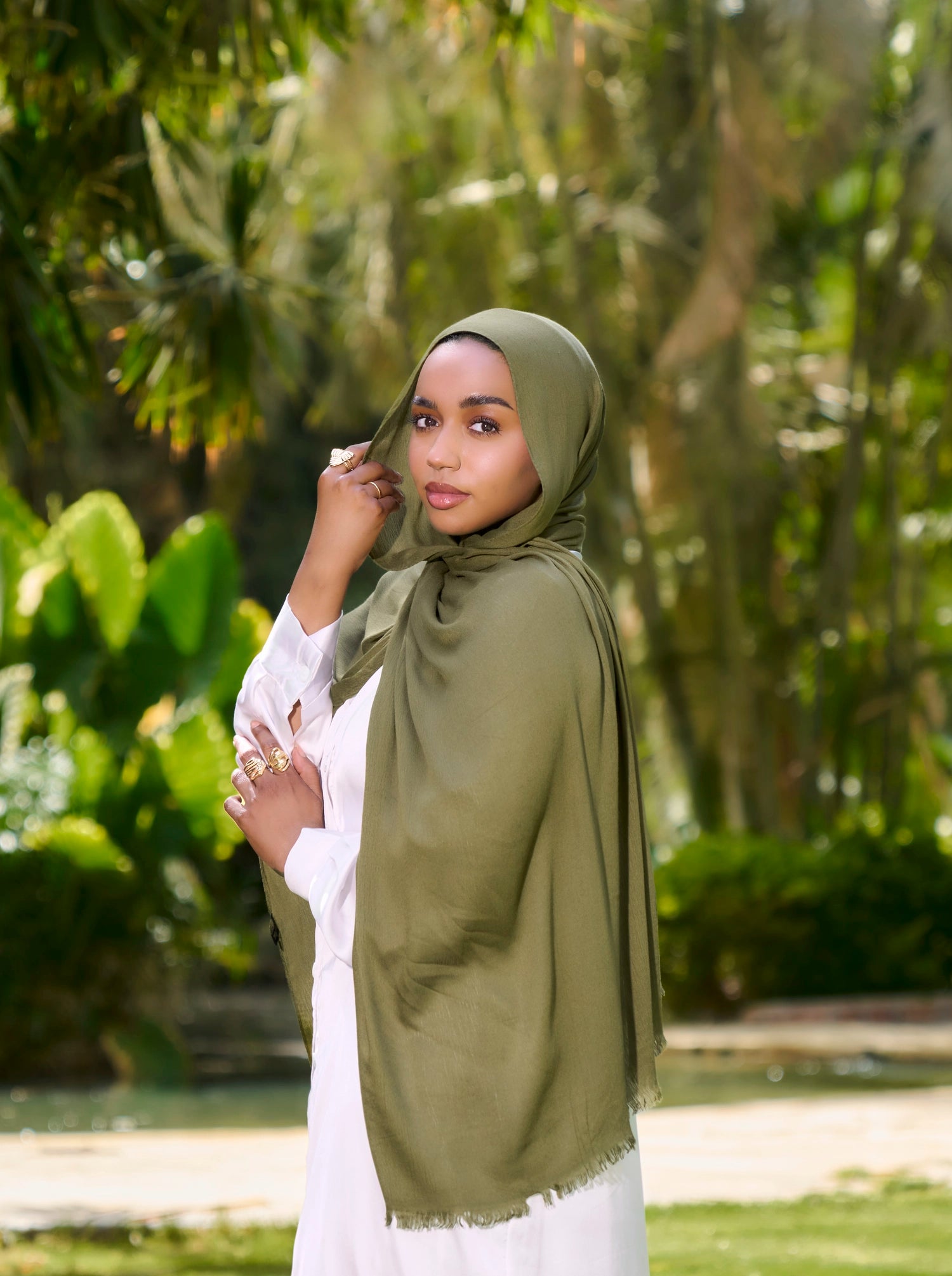 Desert Olive