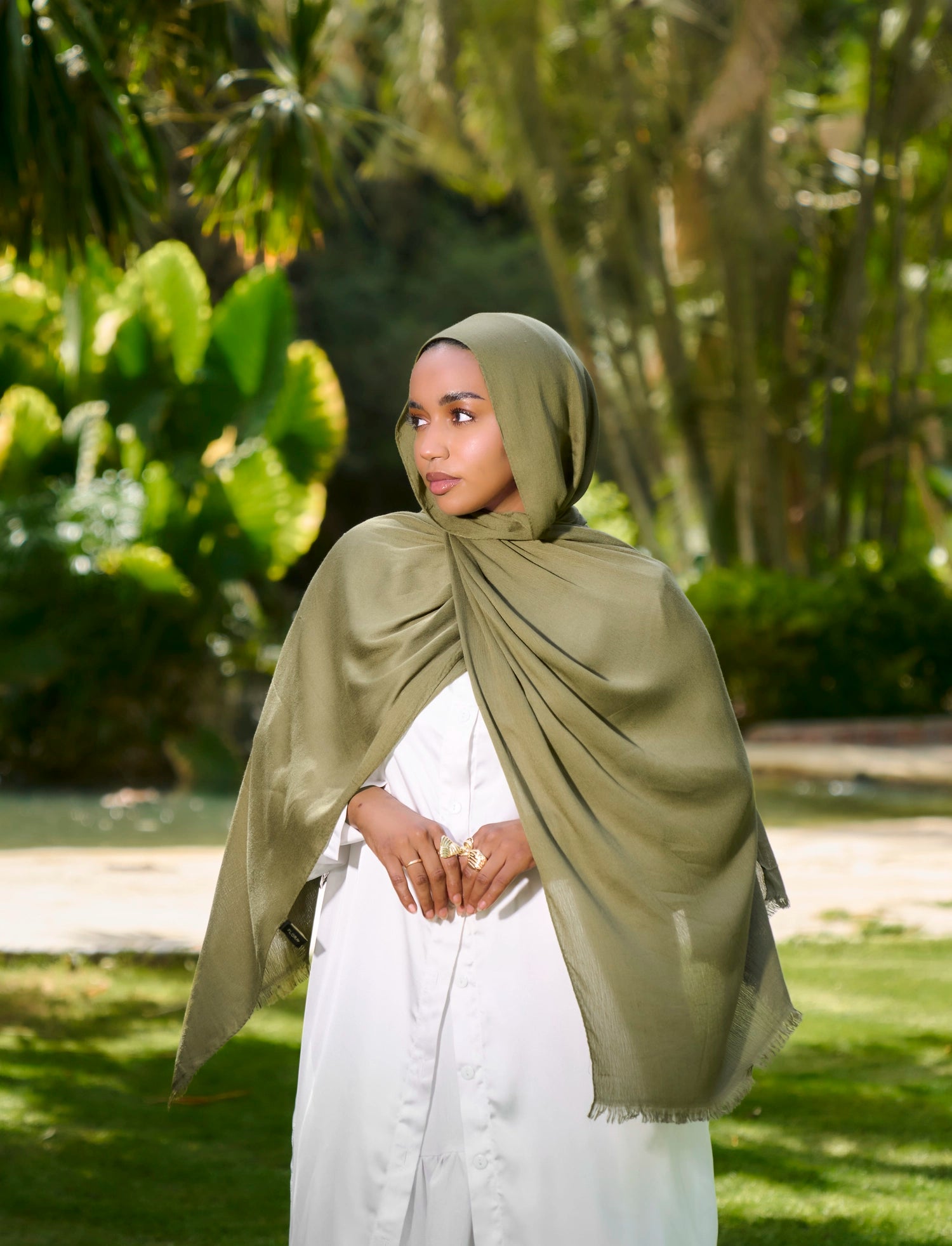 Desert Olive
